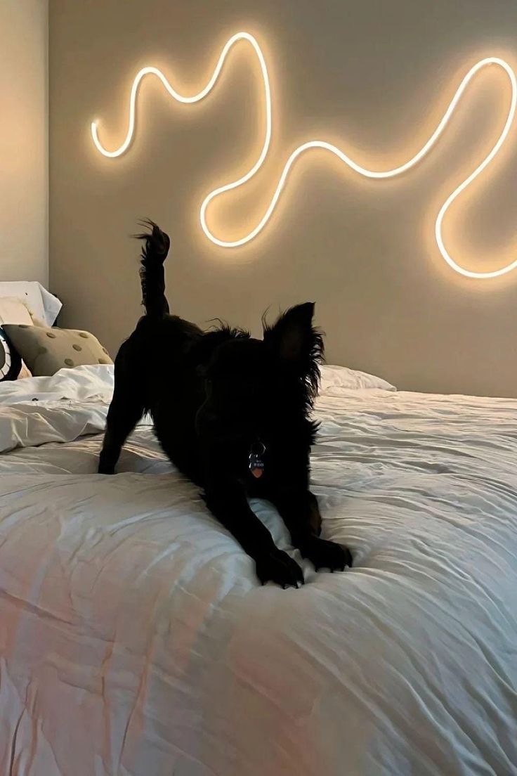 RGB Smart LED Sync Light Bar - Shining Room